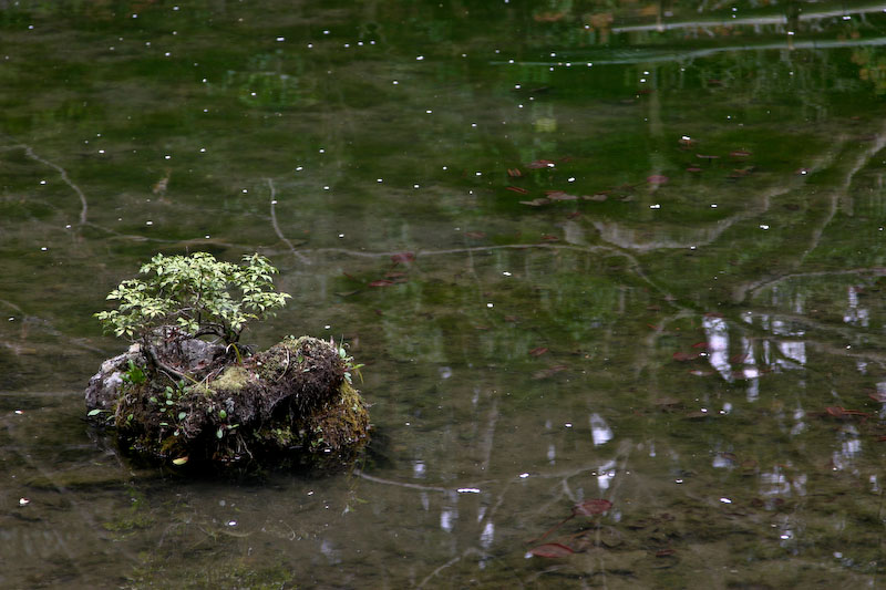 105 mm, 1/160 sec at f / 4,5 ISO 200 Objectif: Canon EF  24.0-105.0 mm
