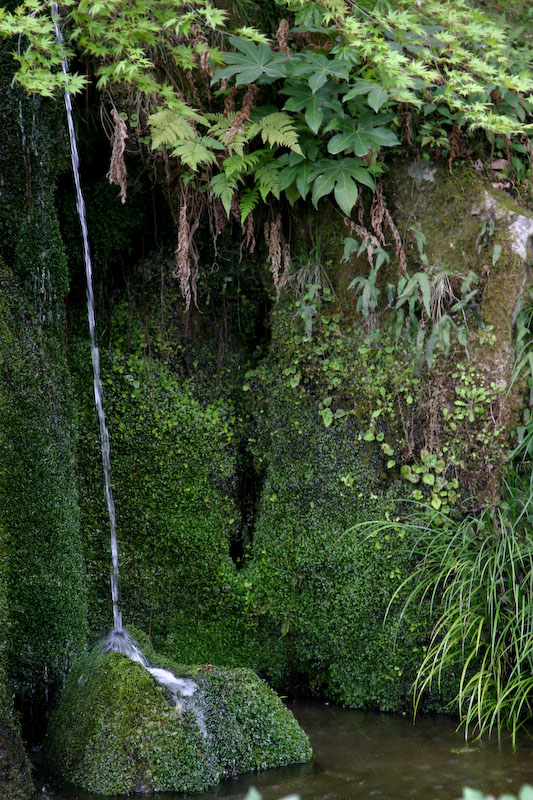 84 mm, 1/80 sec at f / 4,0 ISO 400 Objectif: Canon EF  24.0-105.0 mm