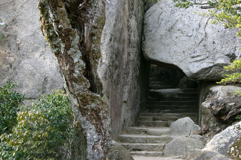 40 mm, 1/60 sec at f / 5,0 ISO 100 Objectif: Canon EF  24.0-105.0 mm